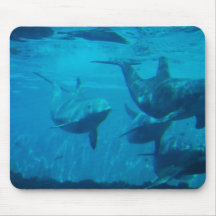 Dolphin Play Mouse Pad