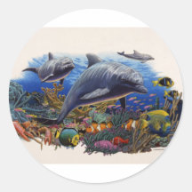 Dolphin Reef Aquatic Stickers