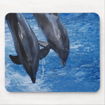 Dolphin Show Mouse Pad