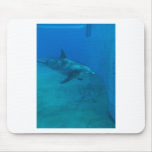 Dolphin Smiles Mouse Pad