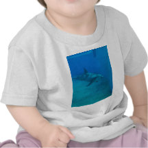 Dolphin Smiles Tshirt