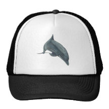Dolphin Trucker Hat