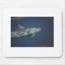 Dolphins 002 mousepads