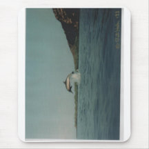Dolphins 019 mousepads