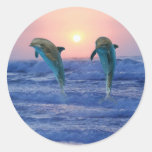 Dolphins at sunrise sticker