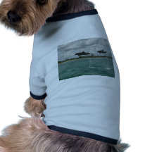 dolphins flying in the seas dog clothes