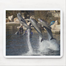 Dolphins Mousepad