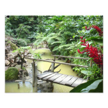 Dominica Sulpher pools Photo Art