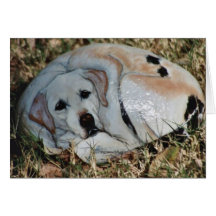 "Domino" dog rock card