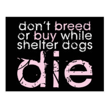 Don't Breed Or Buy (Dark) Post Cards