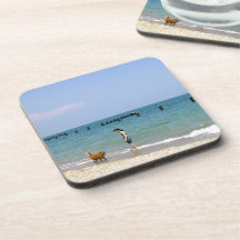 Don't Fear The Water! Beverage Coaster