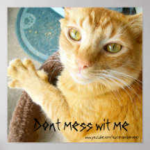 Dont mess wit me poster
