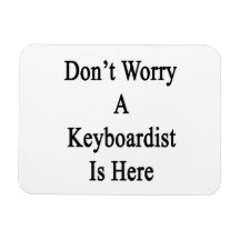 Don't Worry A Keyboardist Is Here.png Vinyl Magnets