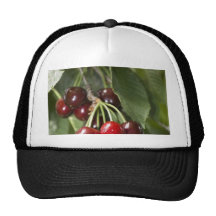 Door Country Cherries Hats