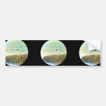 Double-crested Cormorant Bumper Sticker