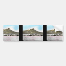 Double-crested Cormorants Bumper Stickers