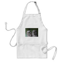 Double Take Aprons