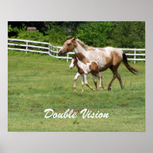 DOUBLE VISION MARE AND FOAL POSTER