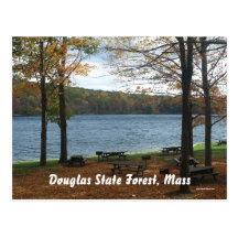 Douglas State Forest Postcard