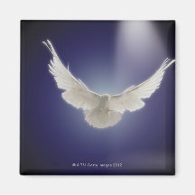 Dove flying through beam of light refrigerator magnets