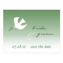 dove love bird postcards