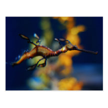 dragon flight post cards