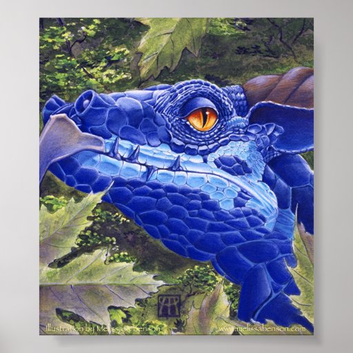 Dragon Sight Posters