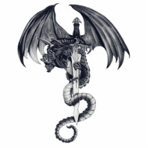 Dragon & Sword Photo Sculpture