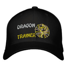 Dragon trainer baseball cap