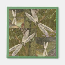 Dragonflies Magnets