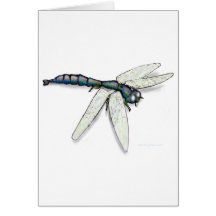 Dragonfly Cards