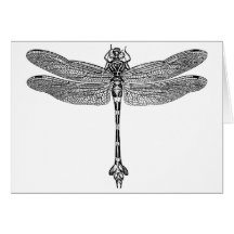 Dragonfly Cards