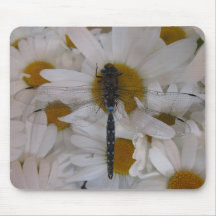 Dragonfly & daisies mousepads