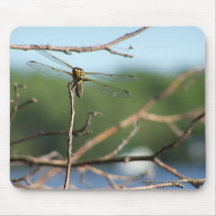Dragonfly III Mouse Pads
