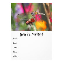 Dragonfly in Colourful Garden Invitations