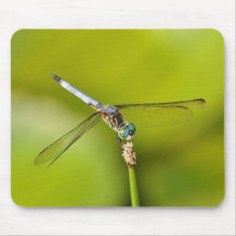 Dragonfly Mouse Pads