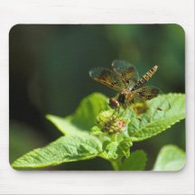 Dragonfly Mousepad