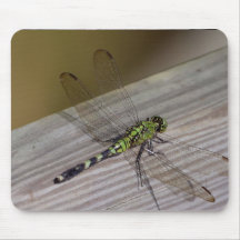 Dragonfly Mousepad
