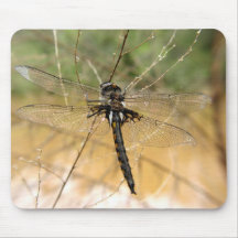 Dragonfly mousepad