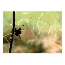Dragonfly Nature Business Cards