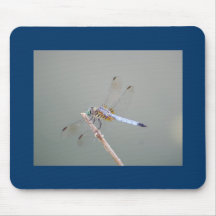 Dragonfly on Green Mouse Pad
