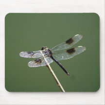 Dragonfly on Green Mousepad
