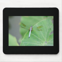 Dragonfly on Green Mousepads