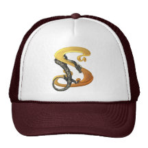 Dragonlore Initial S Mesh Hat