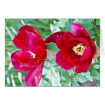 Dragons, Tigers and Peonies IV Greeting Cards