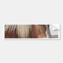 Draught   horse bumper sticker