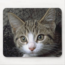 Dreamer Mouse Pad
