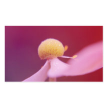 Dreaming In Pink Bookmark Business Card Template