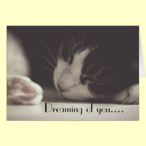 Dreaming of you , Kitty card cards
