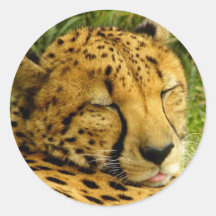 "Dreams of Ice Cream" Sticker